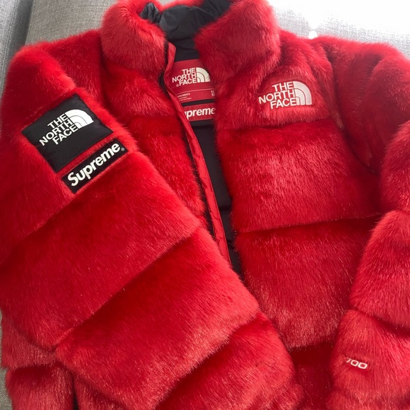 northface and supreme Other - Supreme x The North Face Faux Fur